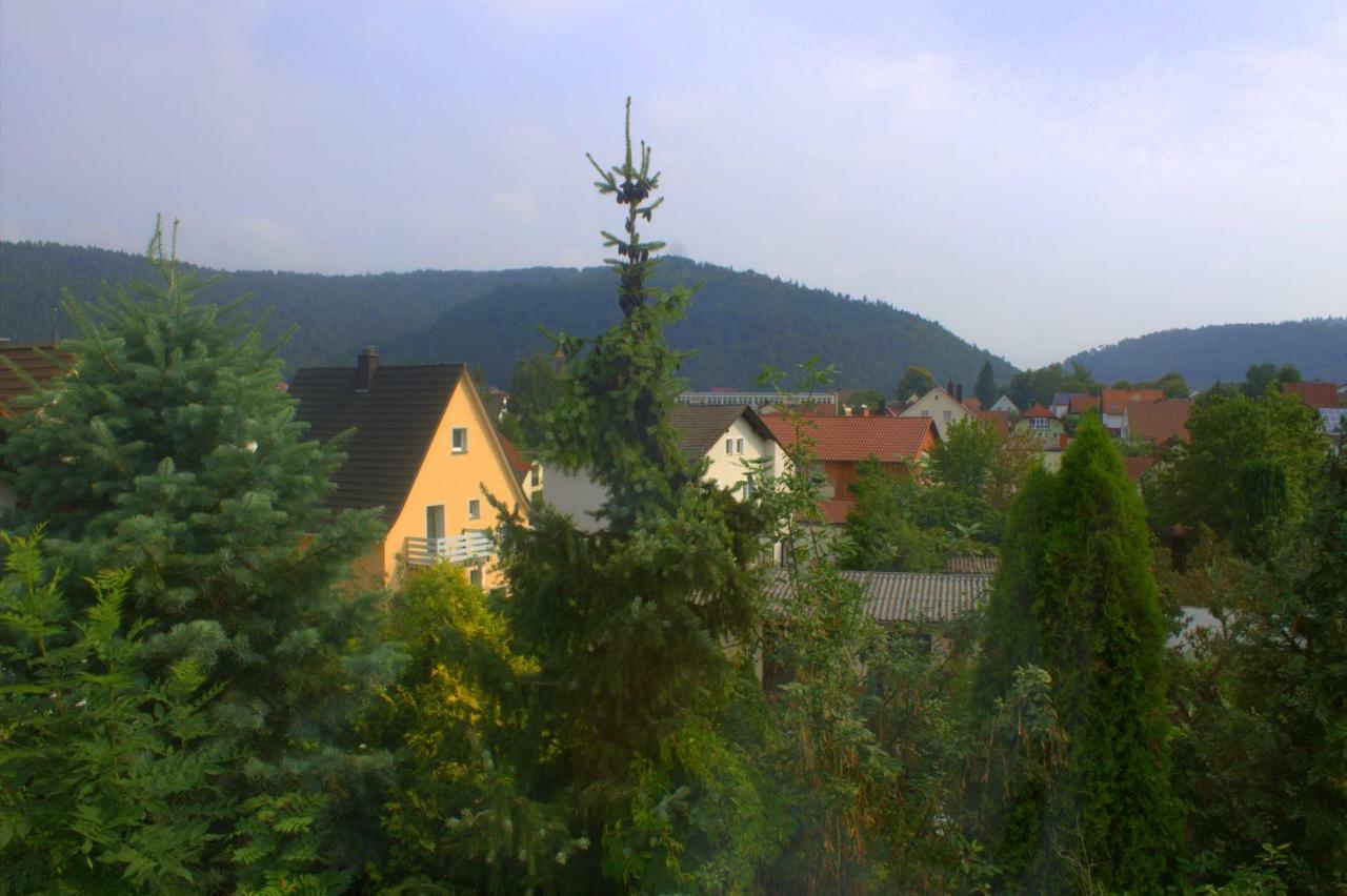 Wdwell Apartment Munchweiler an der Rodalbe Luaran gambar