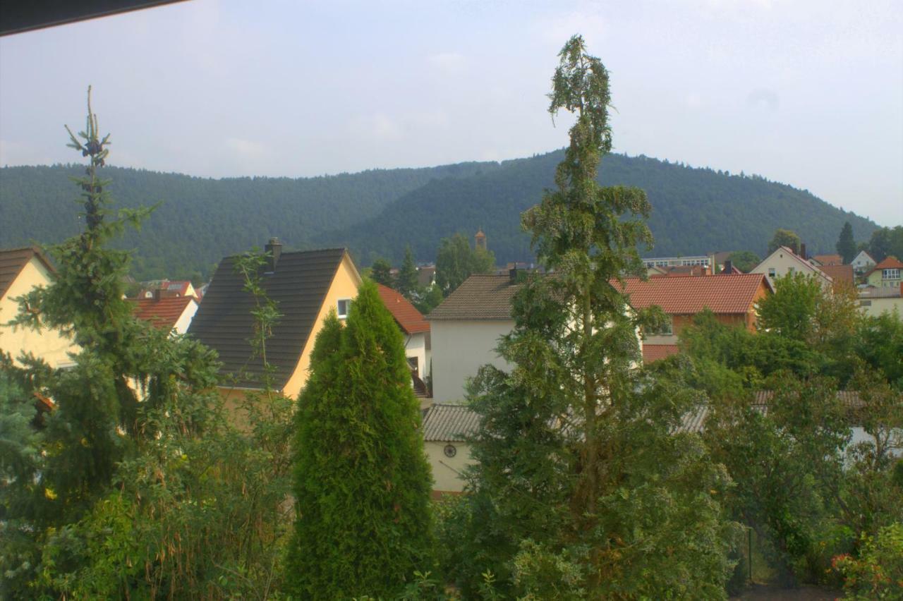 Wdwell Apartment Munchweiler an der Rodalbe Luaran gambar