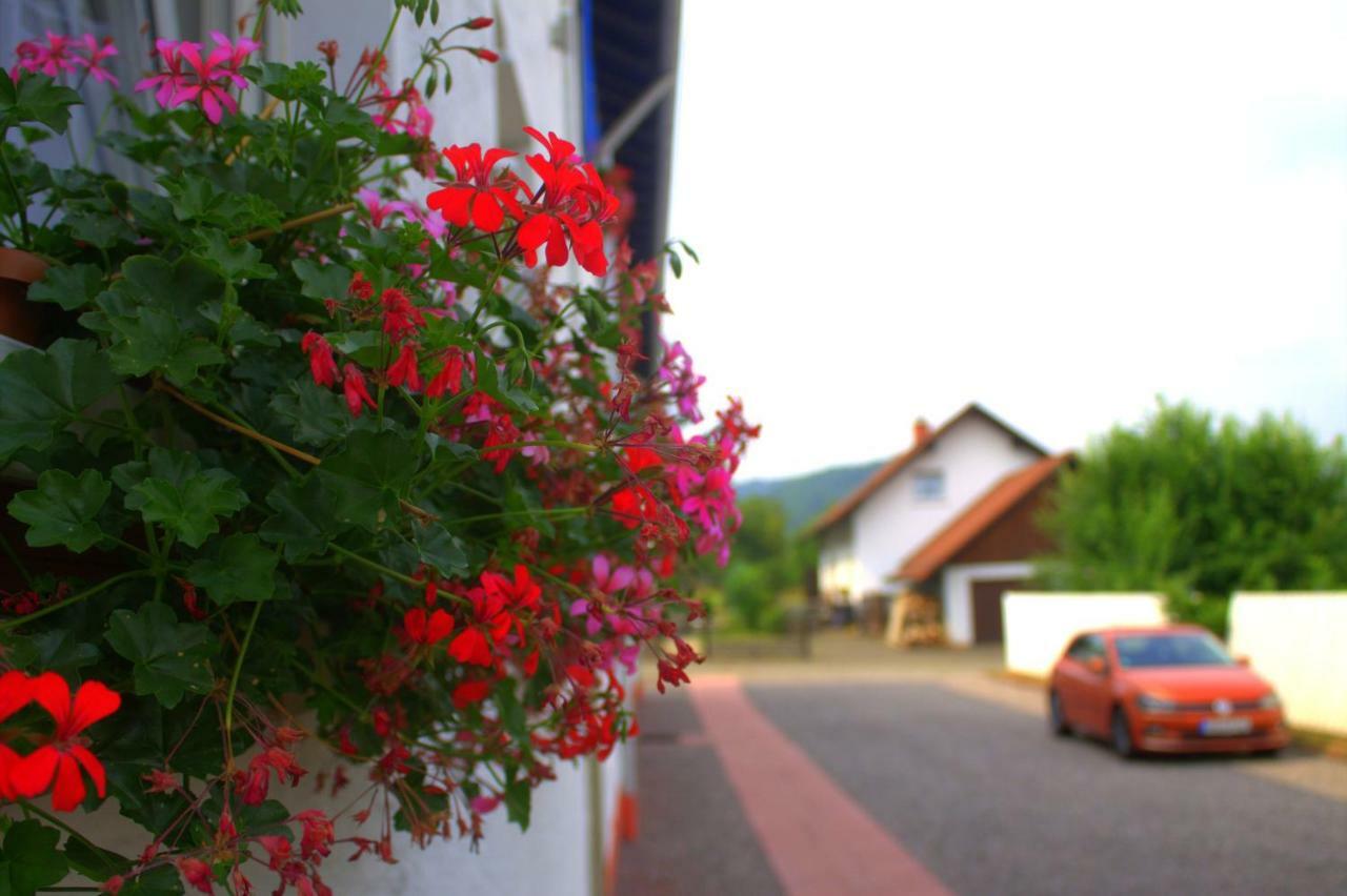 Wdwell Apartment Munchweiler an der Rodalbe Luaran gambar